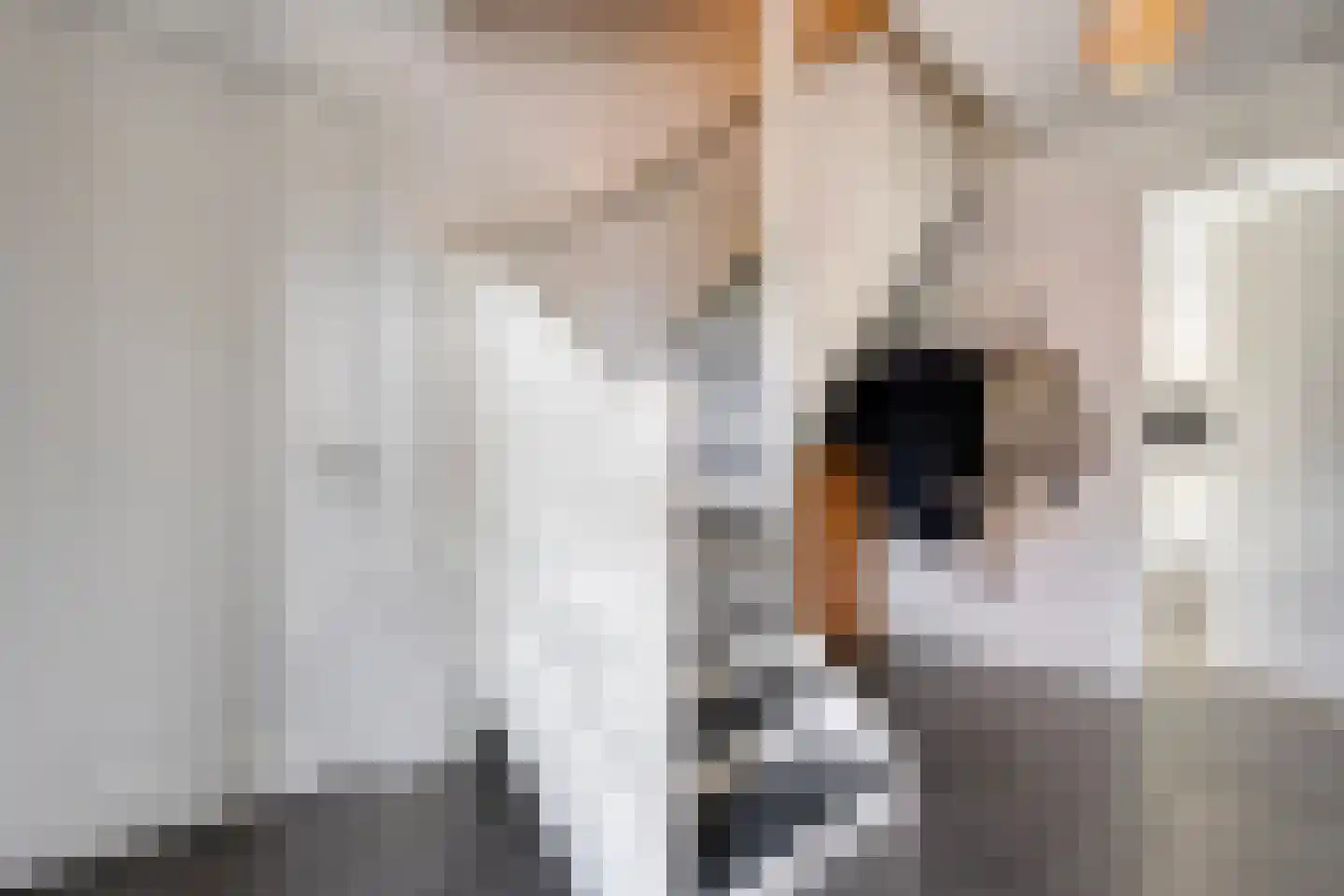 Het Schomaker 6 Denekamp thumbnail 7
