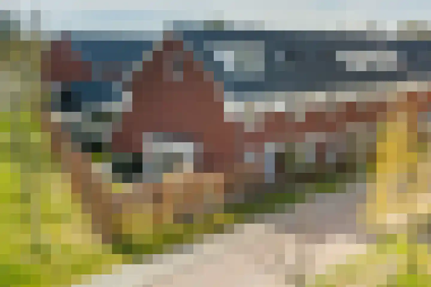 Het Schoneveld 1 Laren
