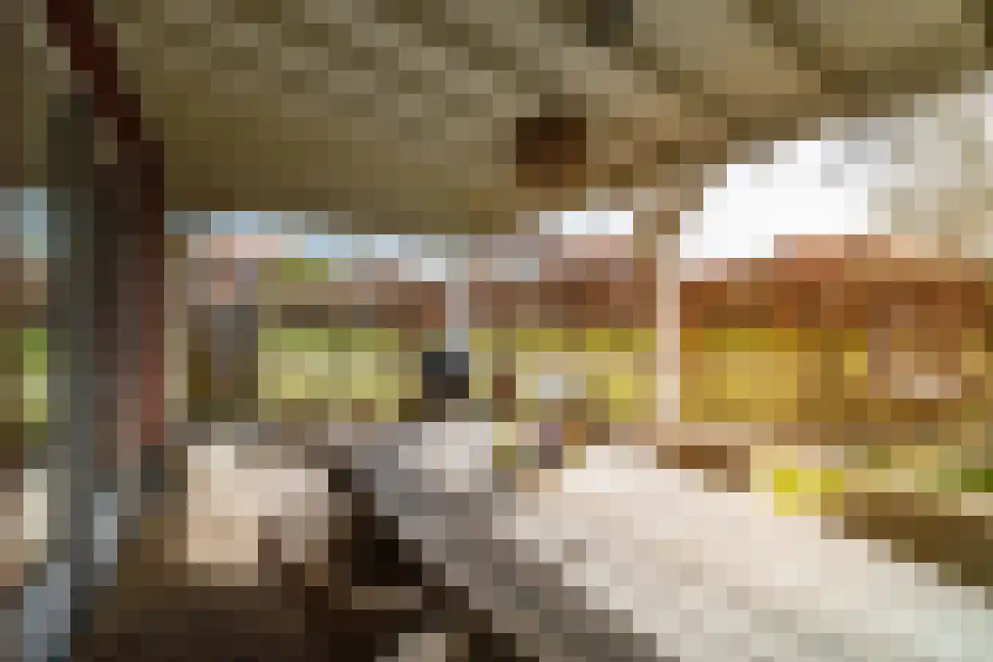 Het Schoneveld 1 Laren thumbnail 11