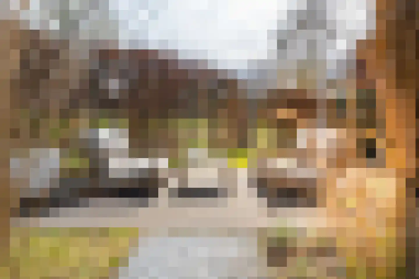 Het Schoneveld 1 Laren thumbnail 14