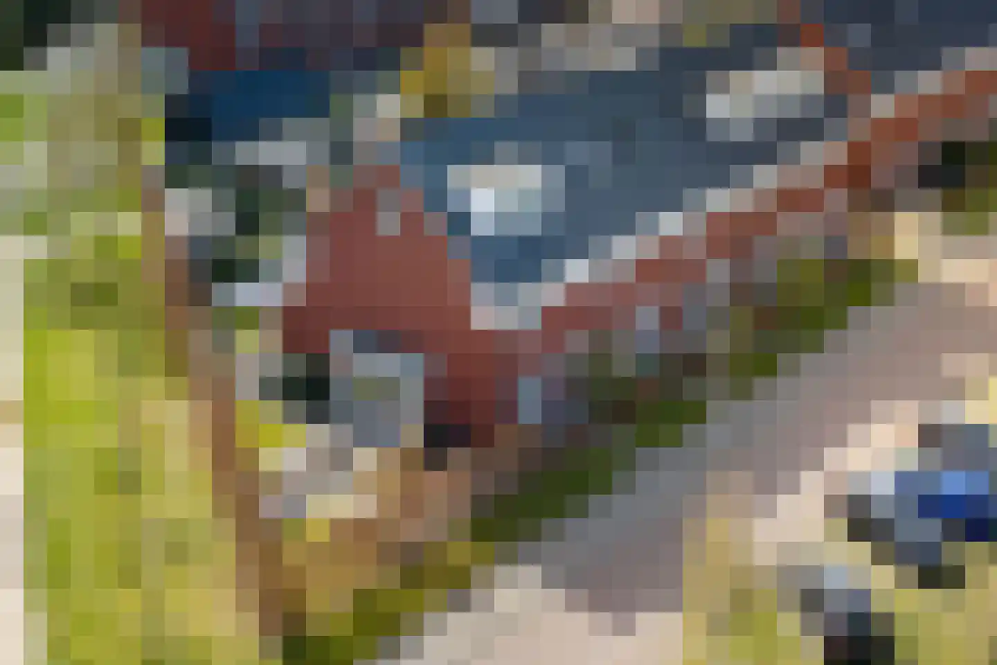 Het Schoneveld 1 Laren thumbnail 16