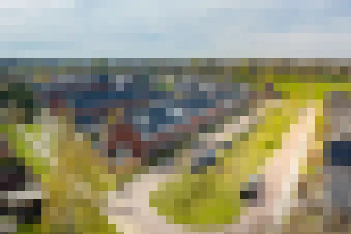 Het Schoneveld 1 Laren thumbnail 17