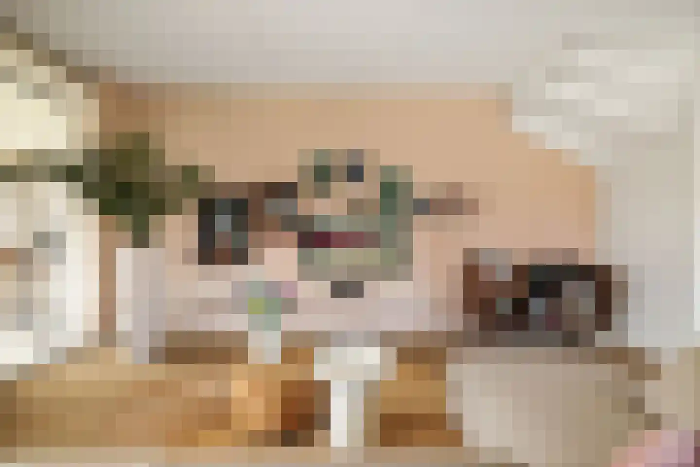 Het Schoneveld 1 Laren thumbnail 28