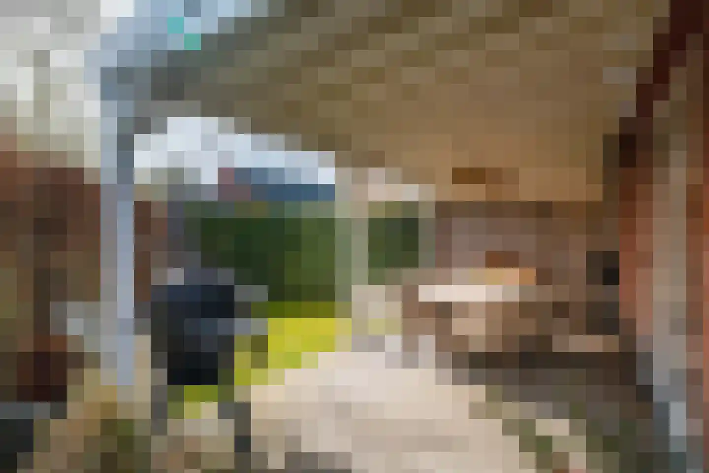 Het Schoneveld 1 Laren foto 3