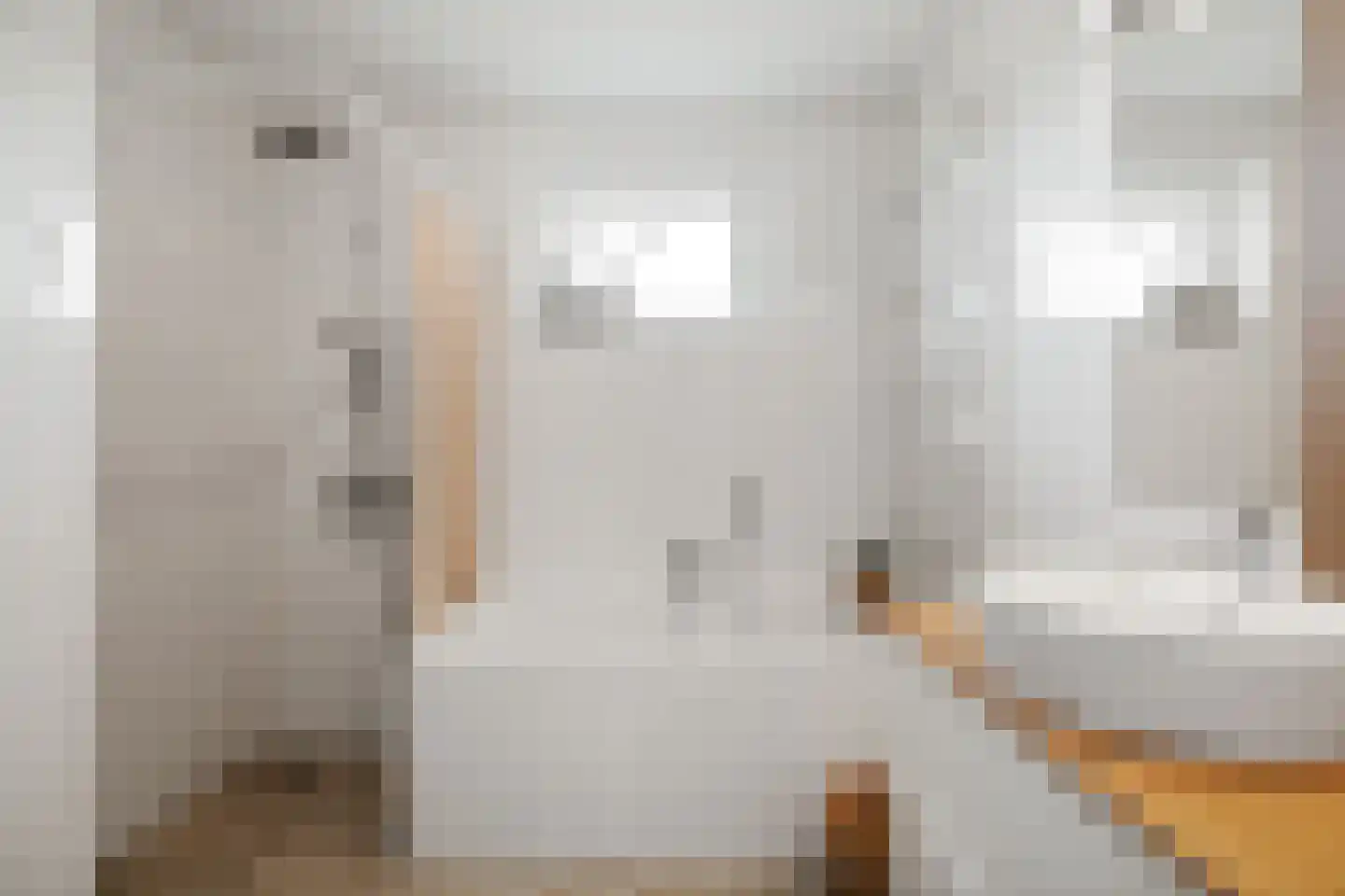 Het Schoneveld 1 Laren thumbnail 31