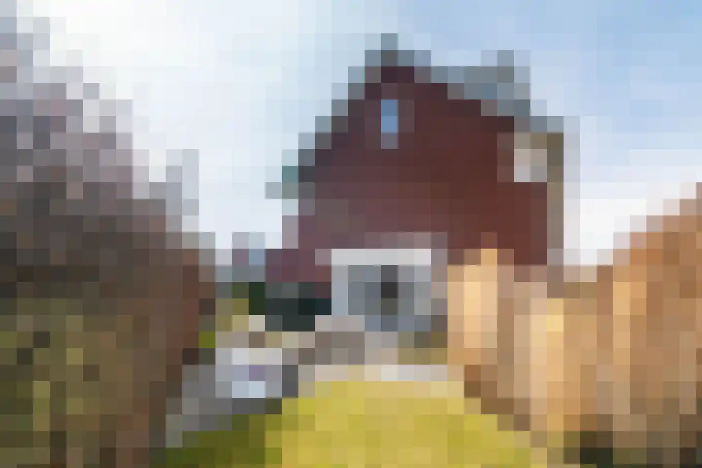 Het Schoneveld 1 Laren thumbnail 45