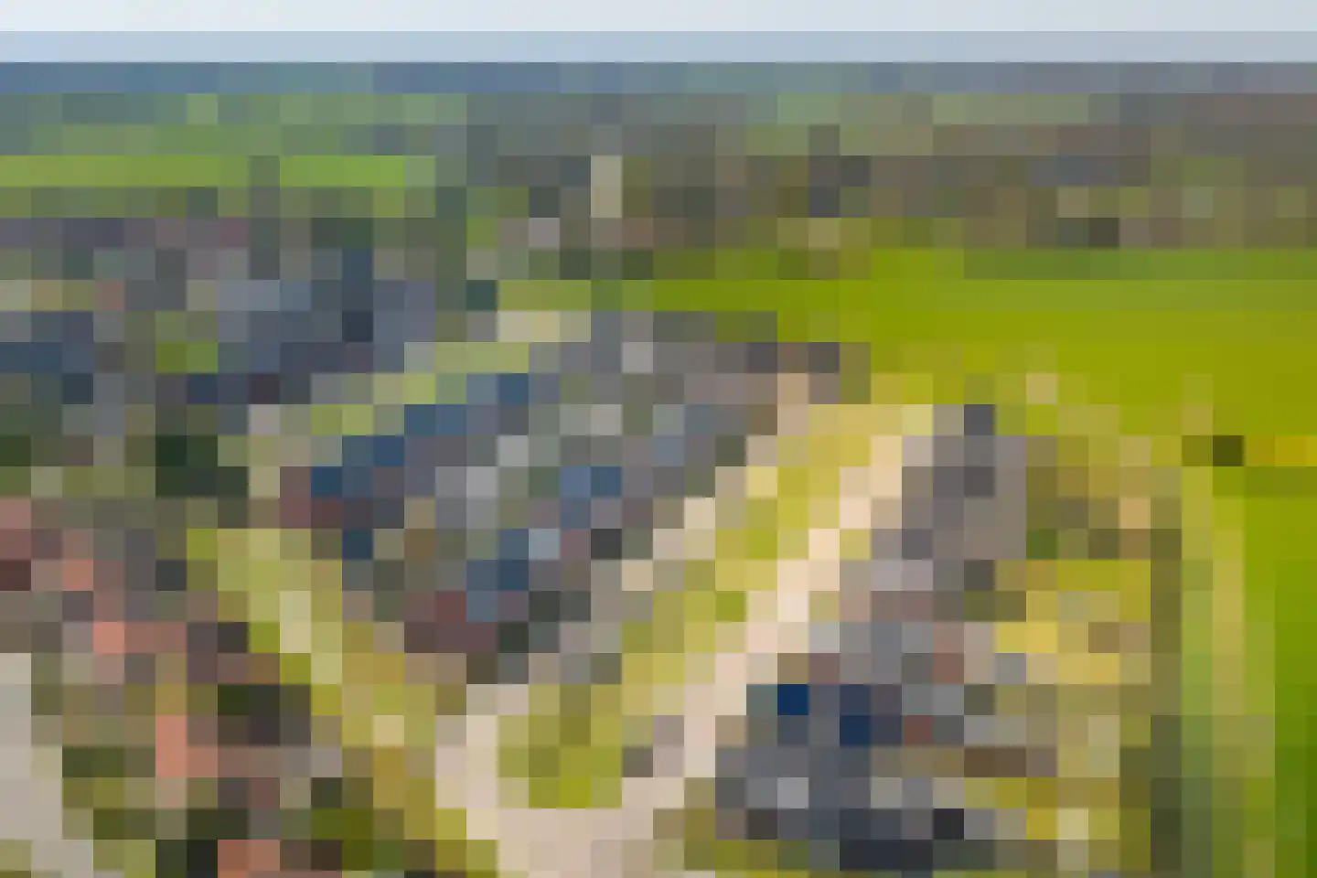 Het Schoneveld 1 Laren thumbnail 48