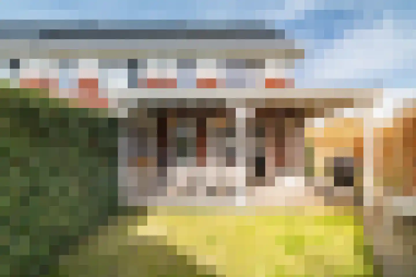 Het Schoneveld 1 Laren thumbnail 8