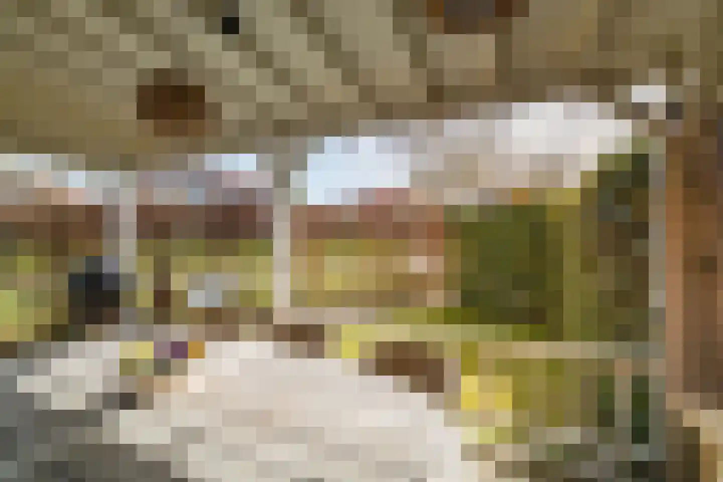 Het Schoneveld 1 Laren thumbnail 9