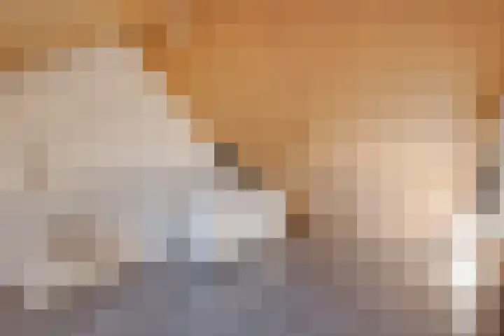 Het Schoneveld 15 Laren thumbnail 18