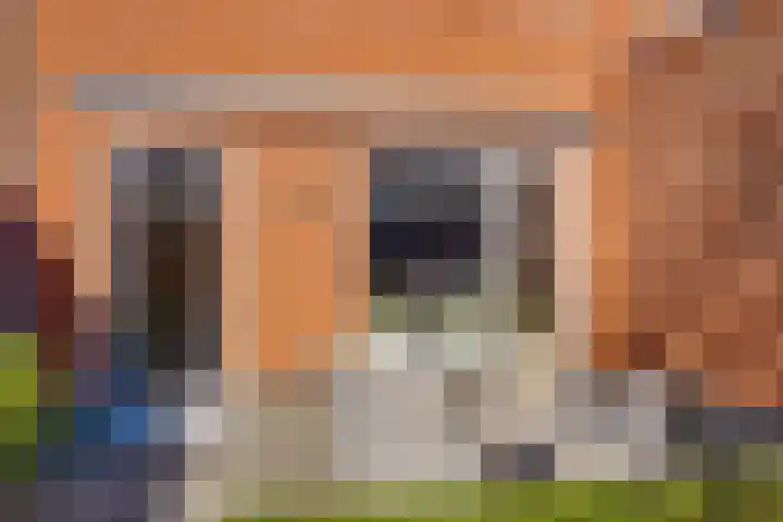 Het Schoneveld 15 Laren thumbnail 19