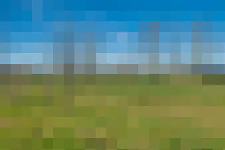 Het Schoneveld 15 Laren thumbnail 24