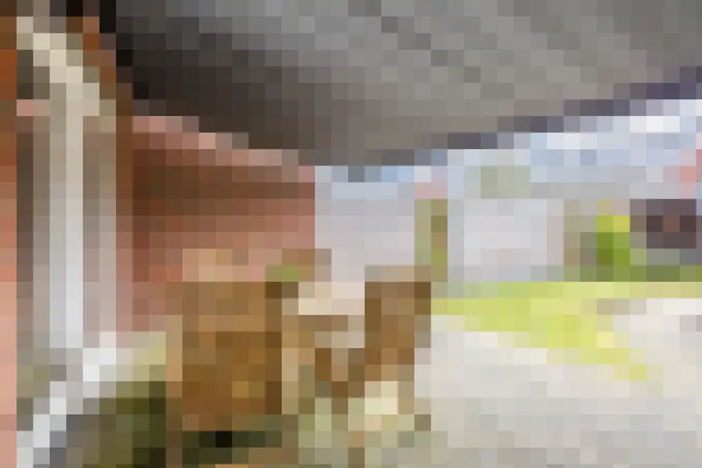 Het Schoneveld 29 Laren thumbnail 28