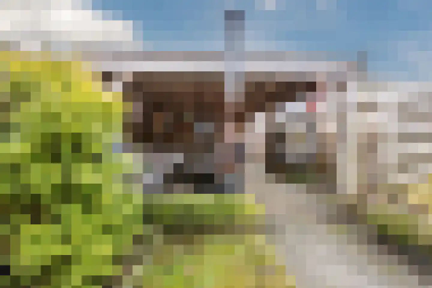 Het Schoneveld 29 Laren thumbnail 30