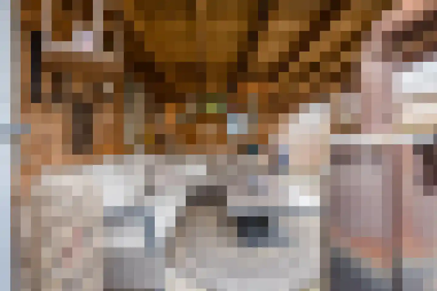 Het Schoneveld 29 Laren thumbnail 31