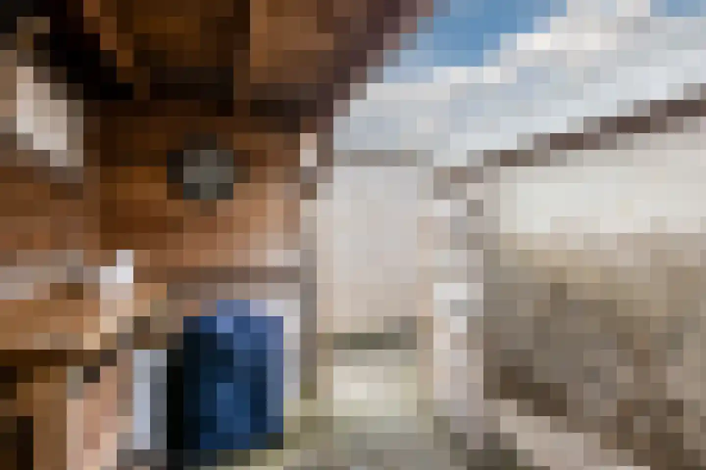 Het Schoneveld 29 Laren thumbnail 33