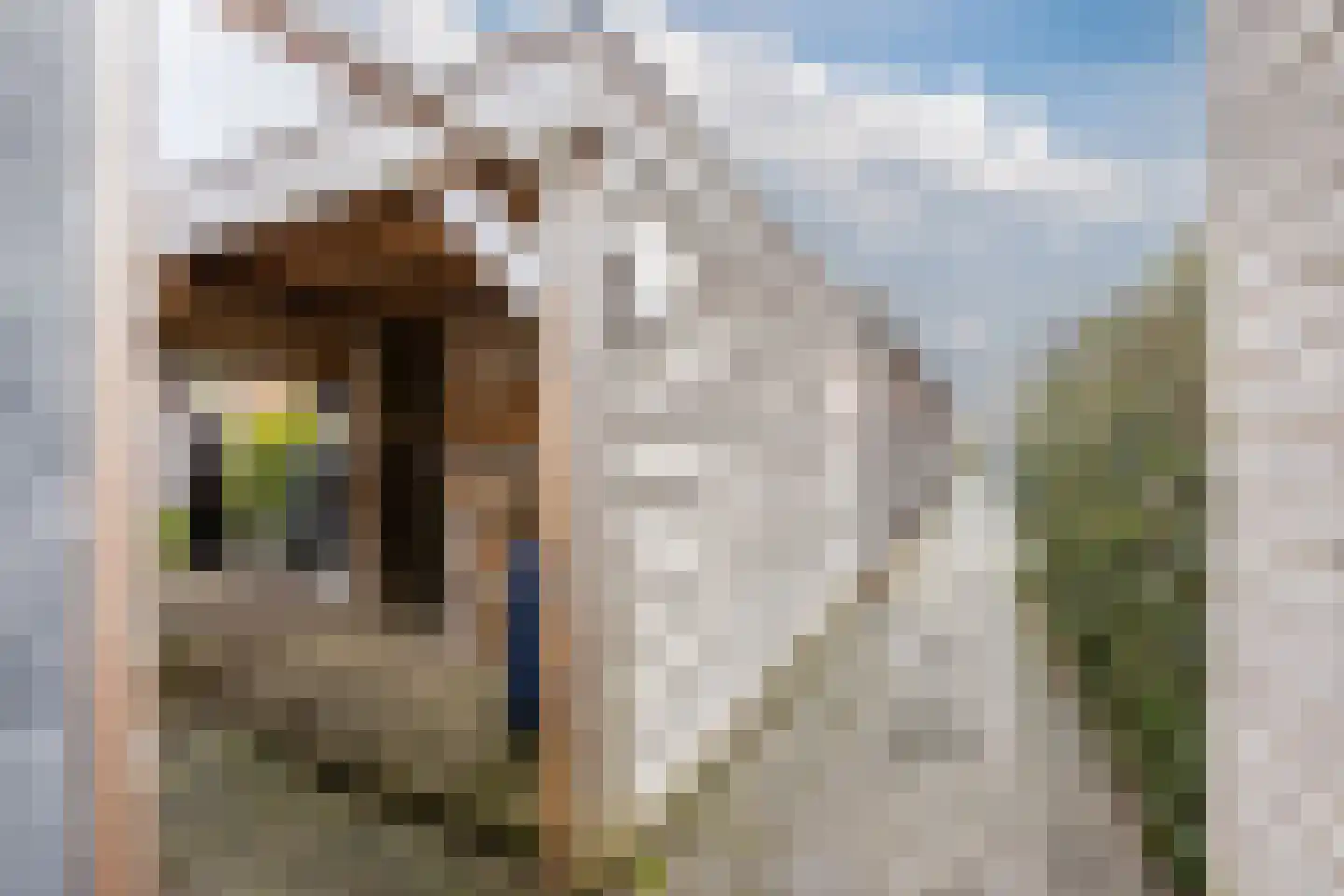 Het Schoneveld 29 Laren thumbnail 34