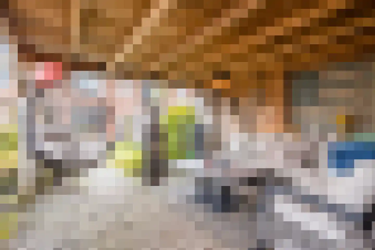 Het Schoneveld 29 Laren thumbnail 35