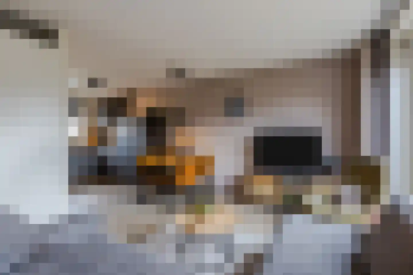 Het Schoneveld 29 Laren thumbnail 5