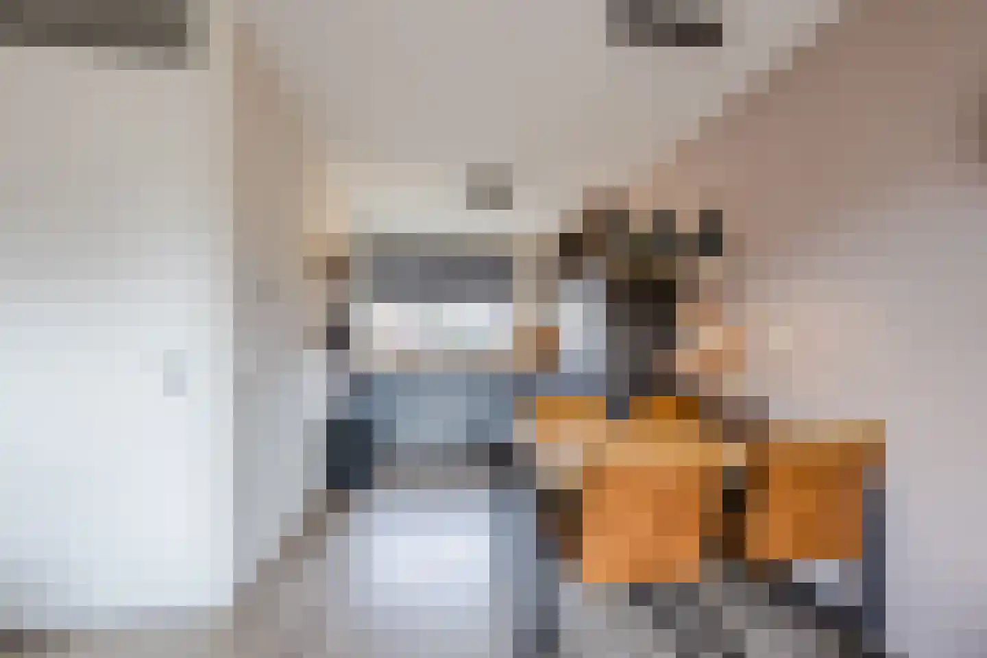 Het Schoneveld 29 Laren thumbnail 6