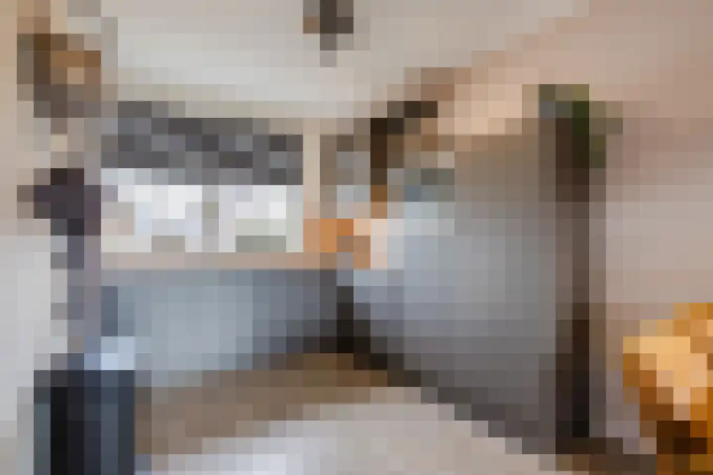 Het Schoneveld 29 Laren thumbnail 7