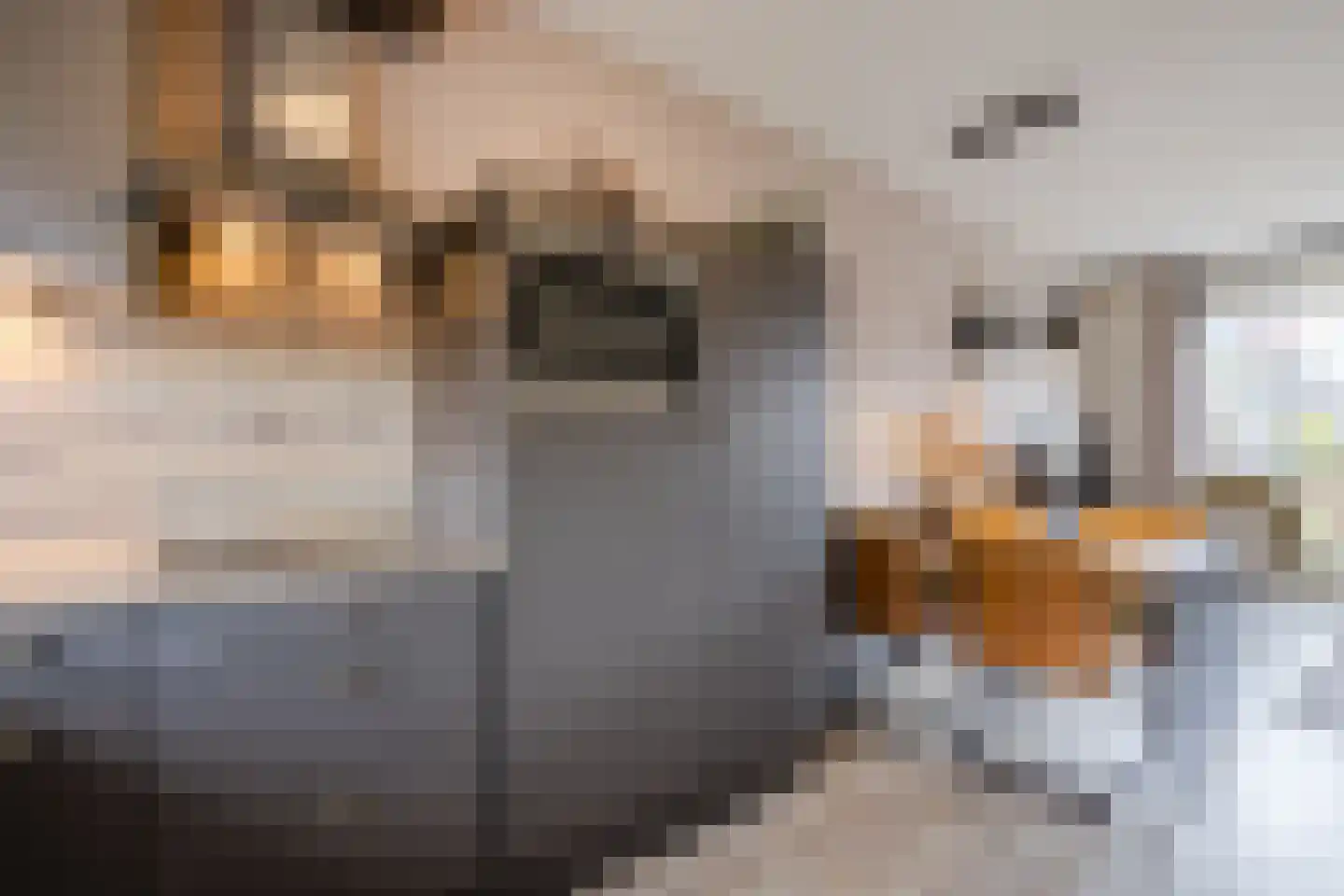 Het Schoneveld 29 Laren thumbnail 9