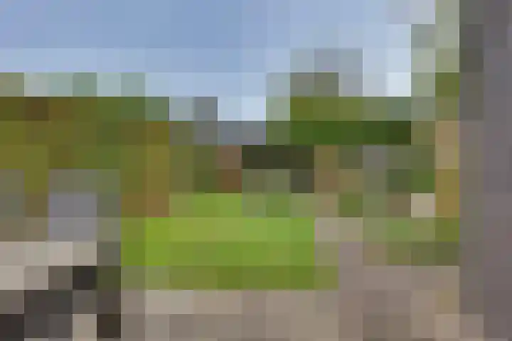 Het Schoneveld 9 Laren thumbnail 20