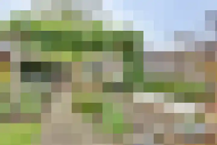 Het Schoneveld 9 Laren thumbnail 21