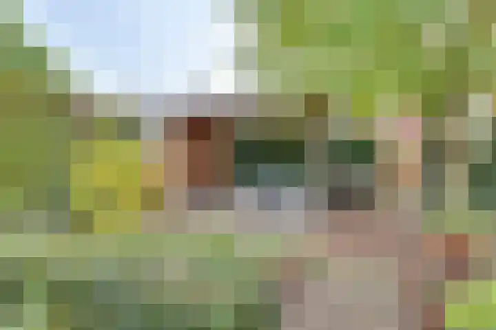 Het Schoneveld 9 Laren thumbnail 22