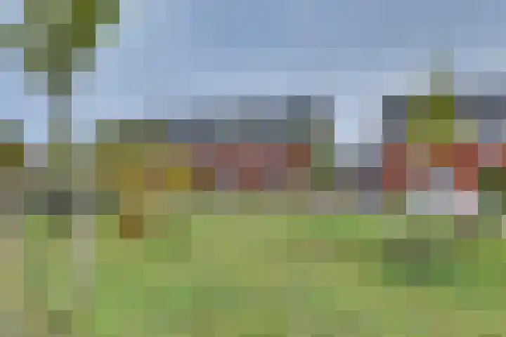Het Schoneveld 9 Laren thumbnail 24