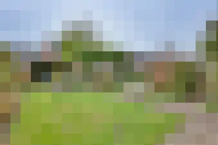 Het Schoneveld 9 Laren foto 3