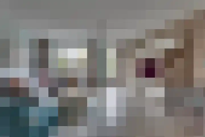 Het Schoneveld 9 Laren thumbnail 4