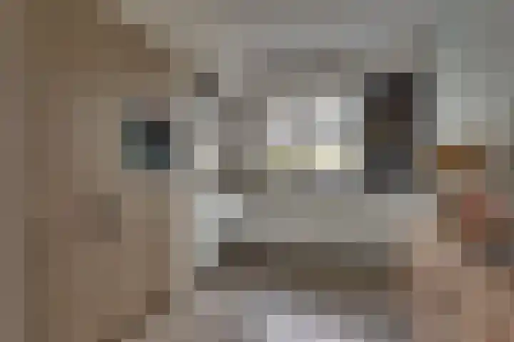 Het Schoneveld 9 Laren thumbnail 8