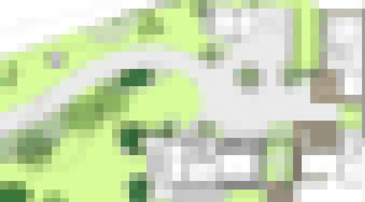 Het Schotkamp 2 Vorden thumbnail 26