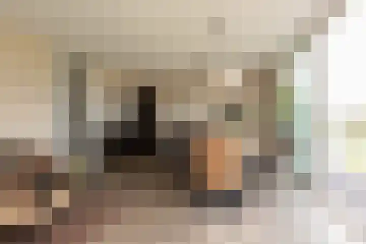 het Schut 1 207 Sneek thumbnail 10