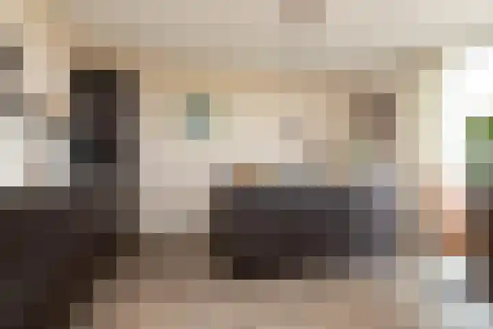 het Schut 1 207 Sneek thumbnail 12