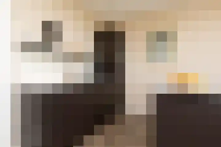 het Schut 1 207 Sneek thumbnail 13
