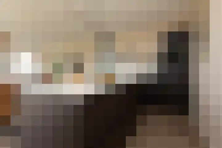 het Schut 1 207 Sneek thumbnail 14