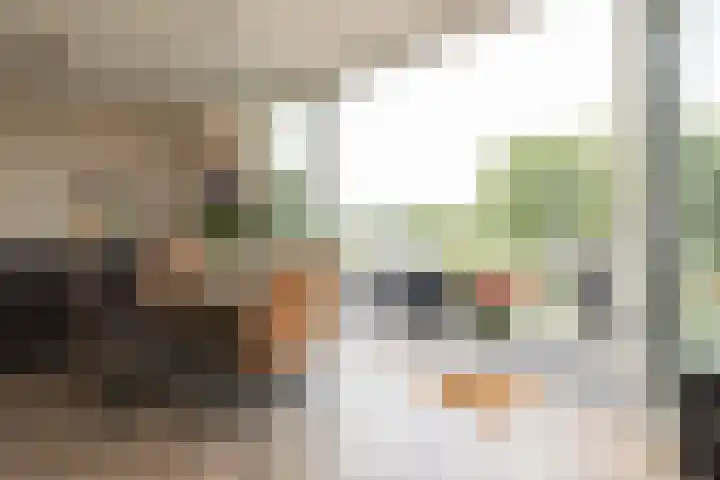 het Schut 1 207 Sneek thumbnail 15