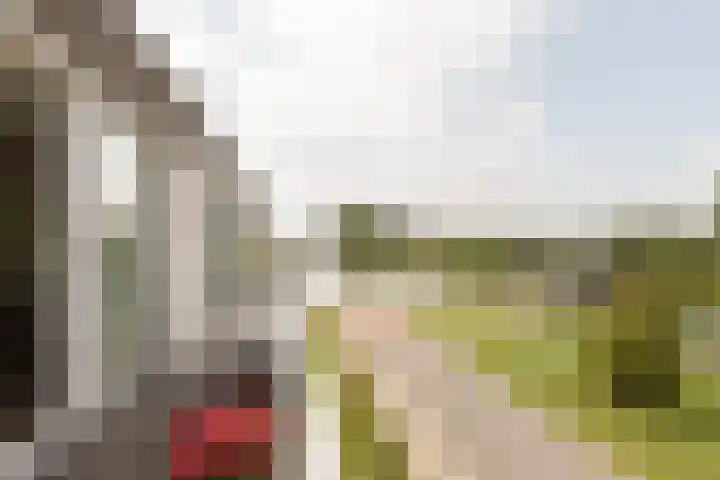het Schut 1 207 Sneek thumbnail 16