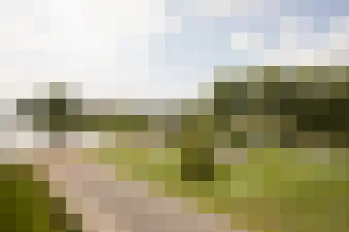 het Schut 1 207 Sneek thumbnail 17