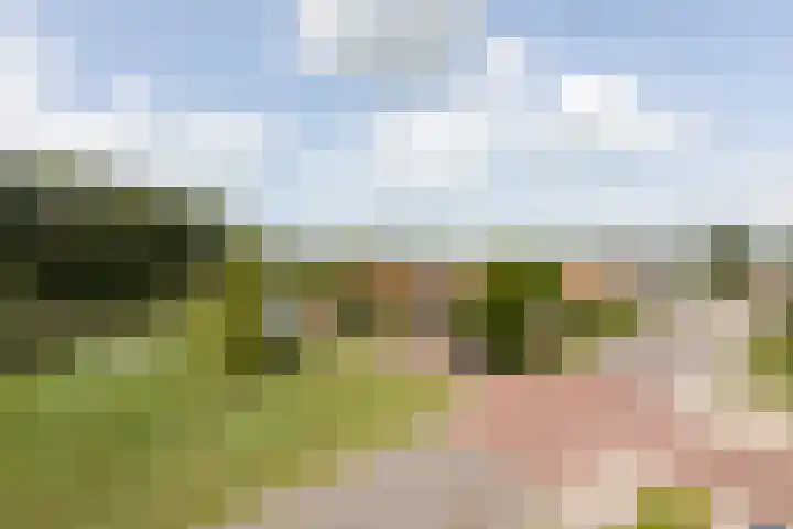het Schut 1 207 Sneek thumbnail 18