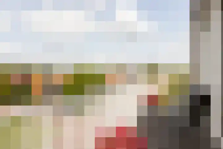 het Schut 1 207 Sneek thumbnail 19