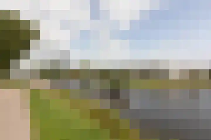 het Schut 1 207 Sneek foto 2
