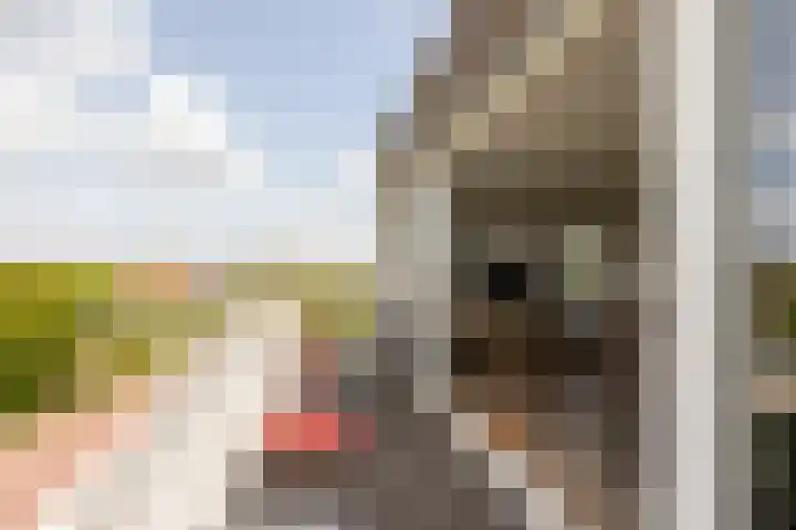 het Schut 1 207 Sneek thumbnail 20