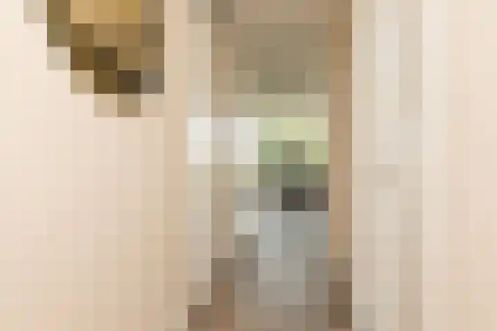 het Schut 1 207 Sneek thumbnail 21