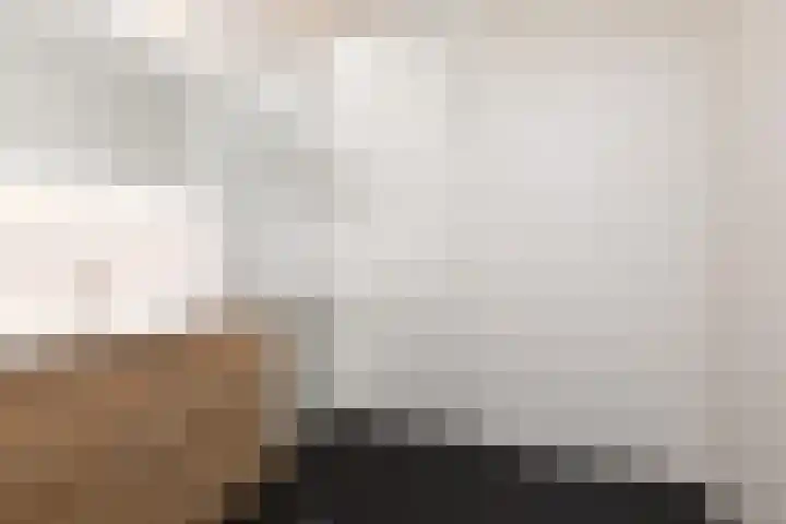 het Schut 1 207 Sneek thumbnail 22