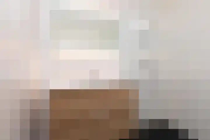 het Schut 1 207 Sneek thumbnail 23