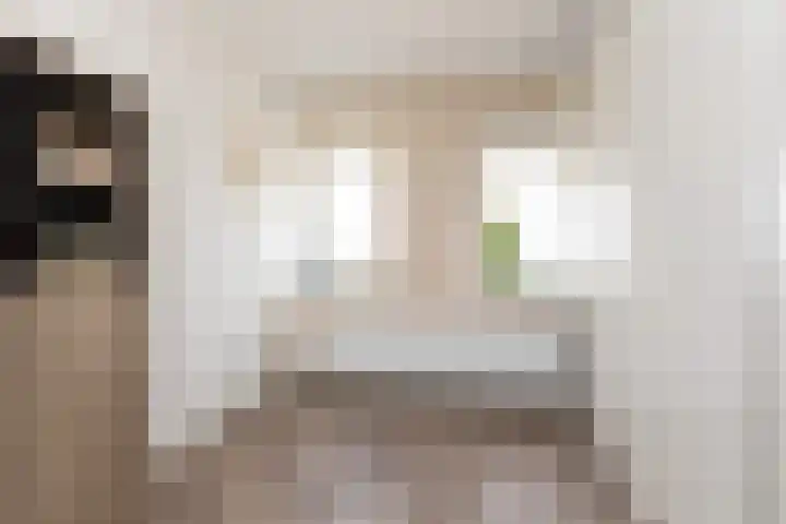 het Schut 1 207 Sneek thumbnail 25