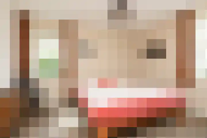 het Schut 1 207 Sneek thumbnail 27